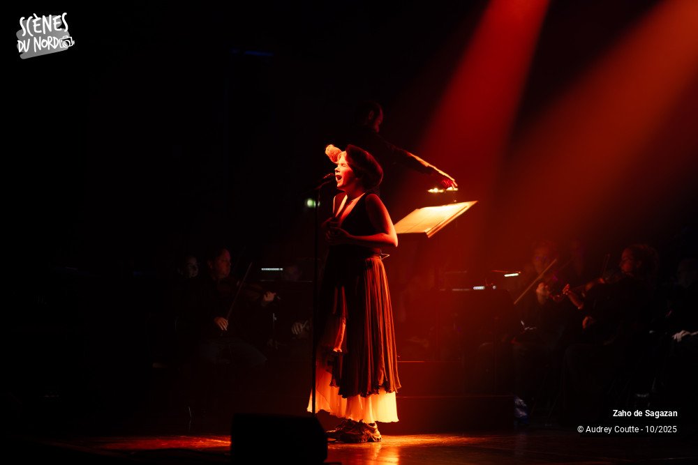 14/17 photos du spectacle Zaho de Sagazan