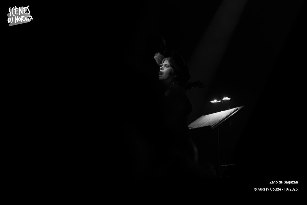 15/17 photos du spectacle Zaho de Sagazan