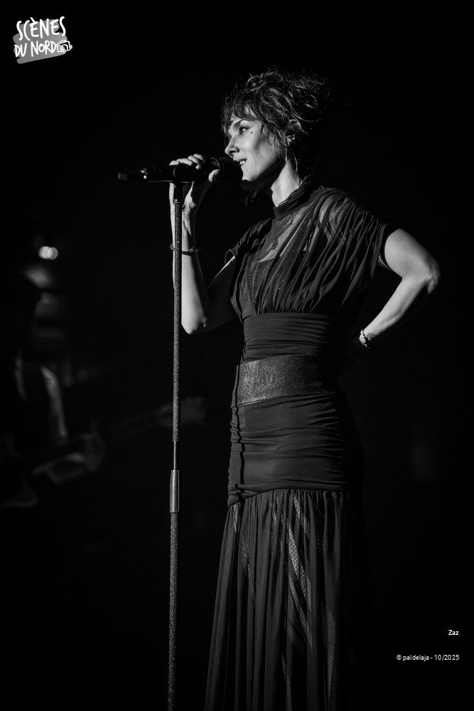 1/14 photos du spectacle Zaz