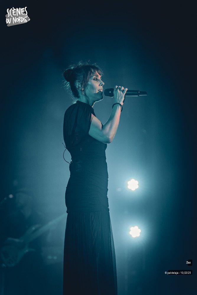 2/14 photos du spectacle Zaz