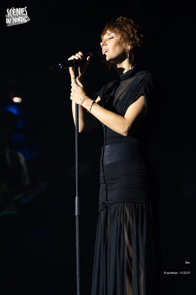 3/14 photos du spectacle Zaz