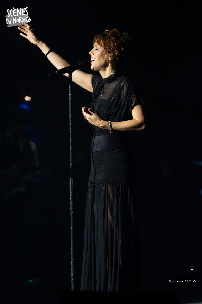 8/14 photos du spectacle Zaz
