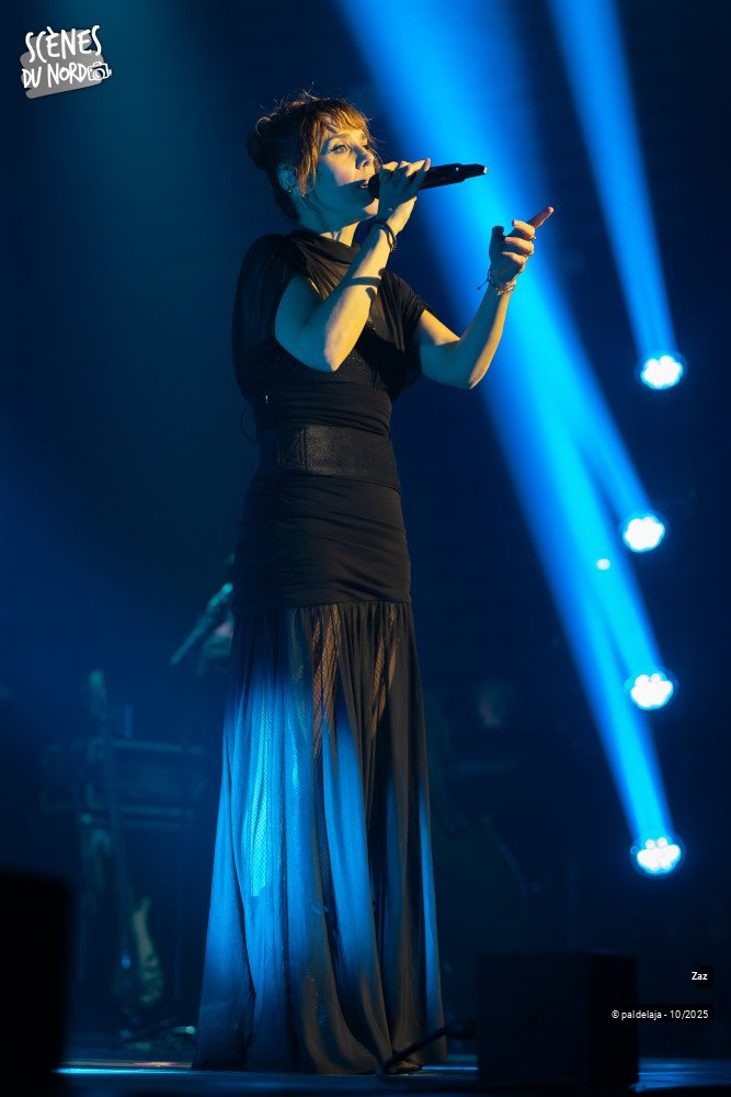 11/14 photos du spectacle Zaz