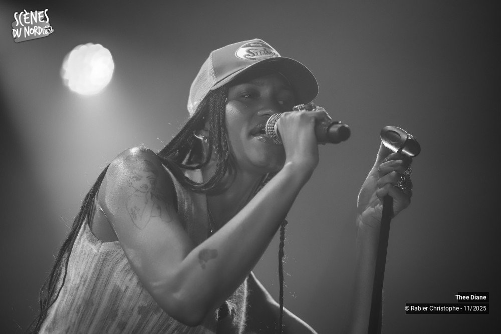 12/14 photos du spectacle Thee Diane