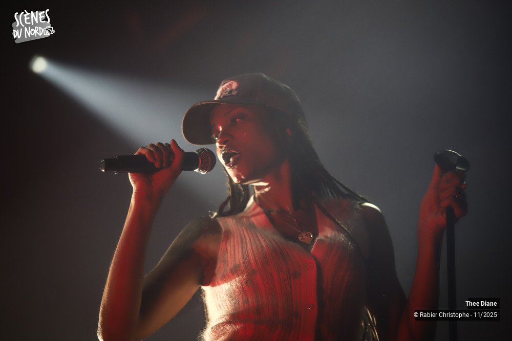 13/14 photos du spectacle Thee Diane