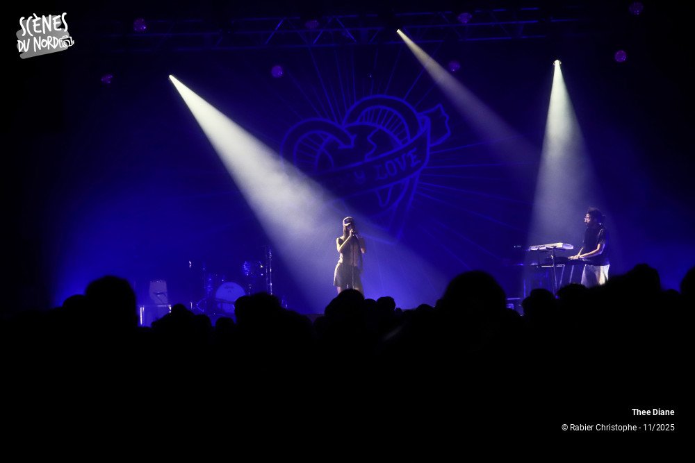 14/14 photos du spectacle Thee Diane