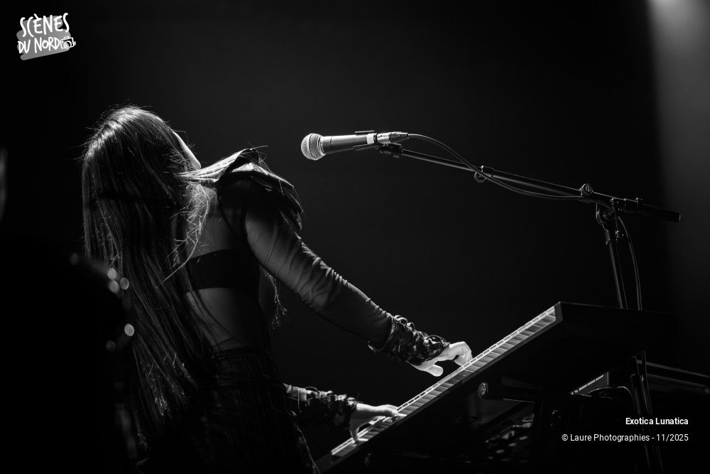2/20 photos du spectacle Exotica Lunatica