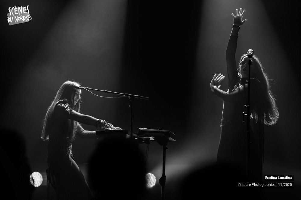 5/20 photos du spectacle Exotica Lunatica