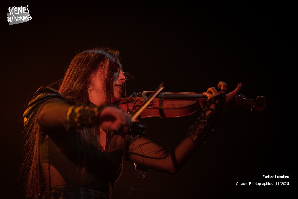 13/20 photos du spectacle Exotica Lunatica