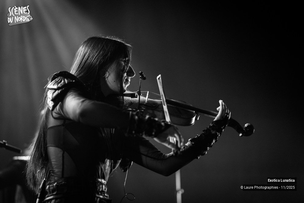 14/20 photos du spectacle Exotica Lunatica