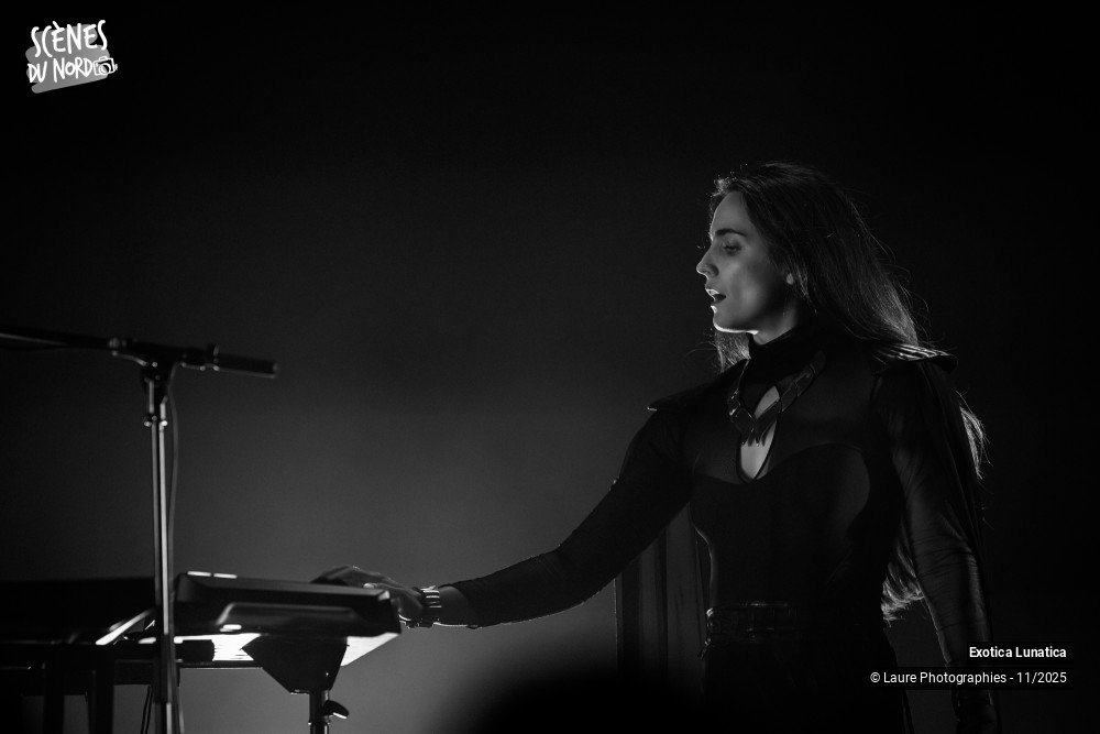 18/20 photos du spectacle Exotica Lunatica