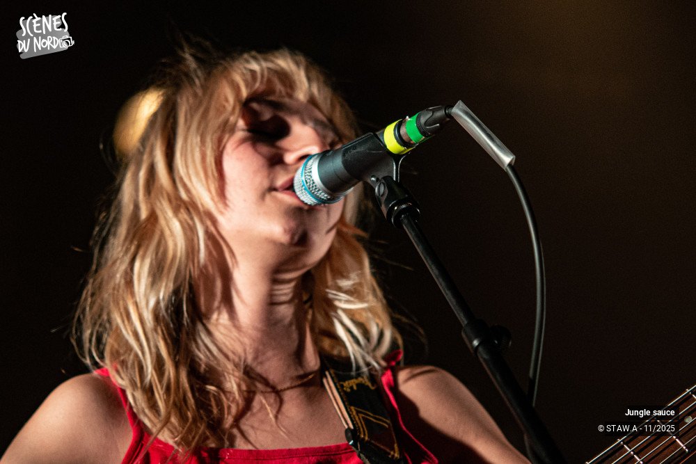 4/18 photos du spectacle Jungle sauce