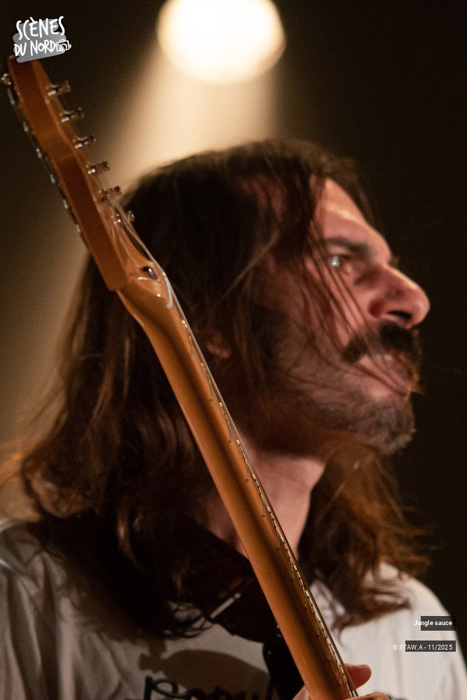 5/18 photos du spectacle Jungle sauce