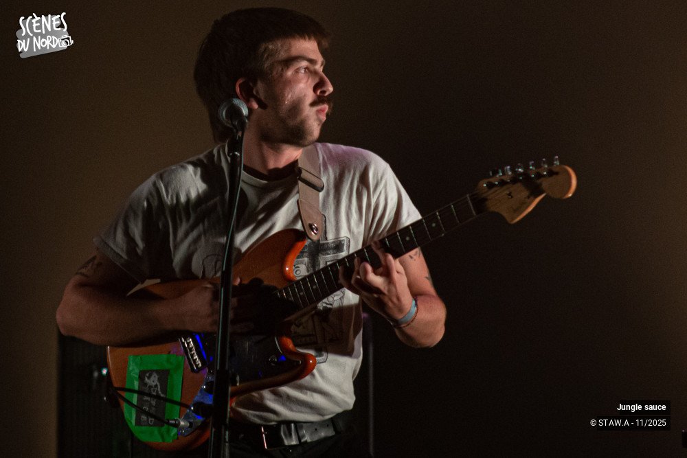 8/18 photos du spectacle Jungle sauce