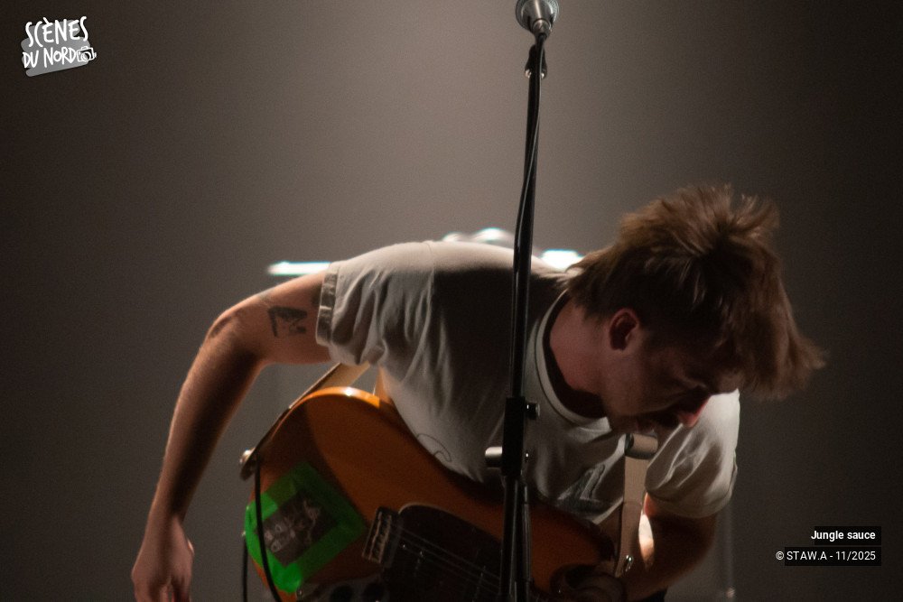 12/18 photos du spectacle Jungle sauce