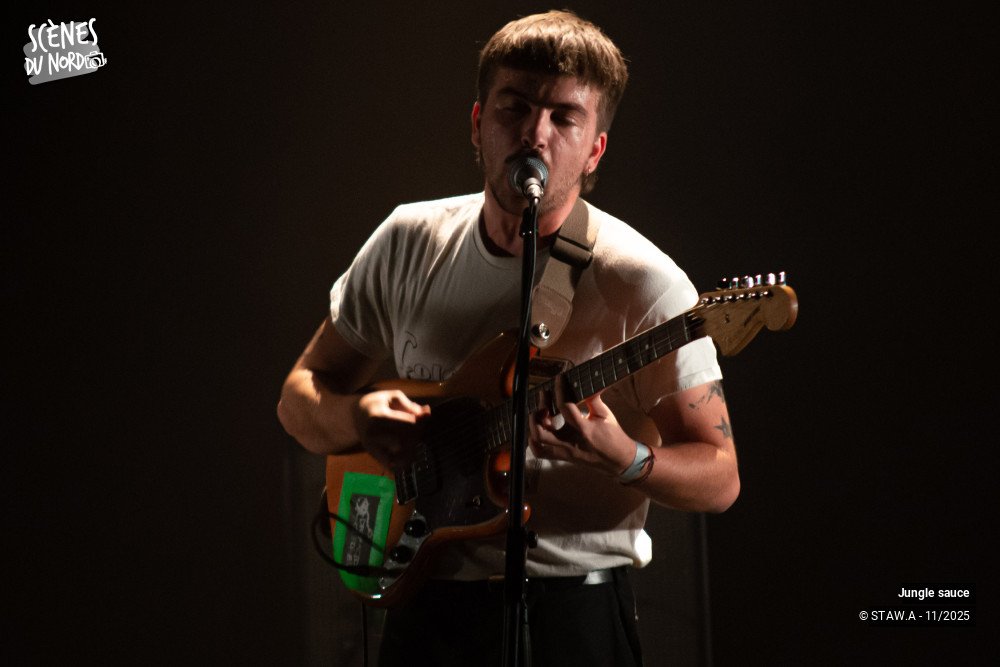 13/18 photos du spectacle Jungle sauce