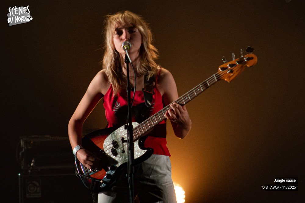 14/18 photos du spectacle Jungle sauce