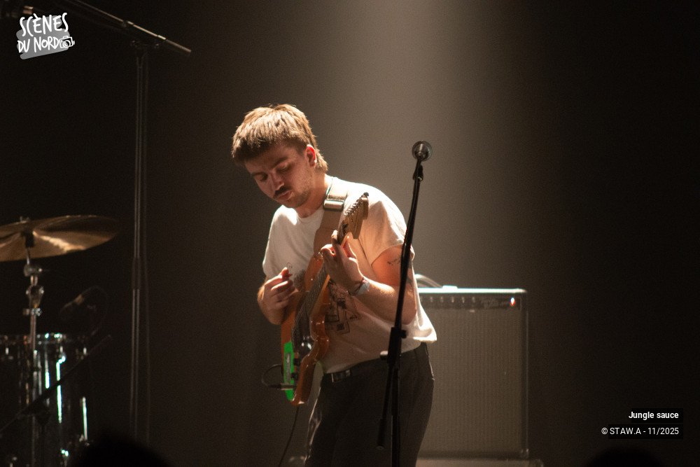 17/18 photos du spectacle Jungle sauce