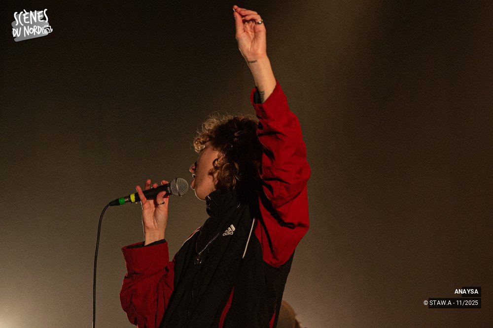 14/17 photos du spectacle Anaysa