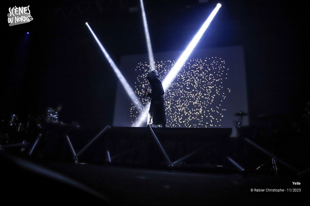 1/20 photos du spectacle Yelle