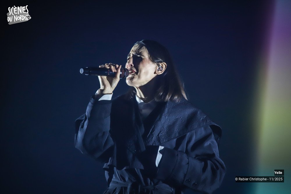 3/20 photos du spectacle Yelle