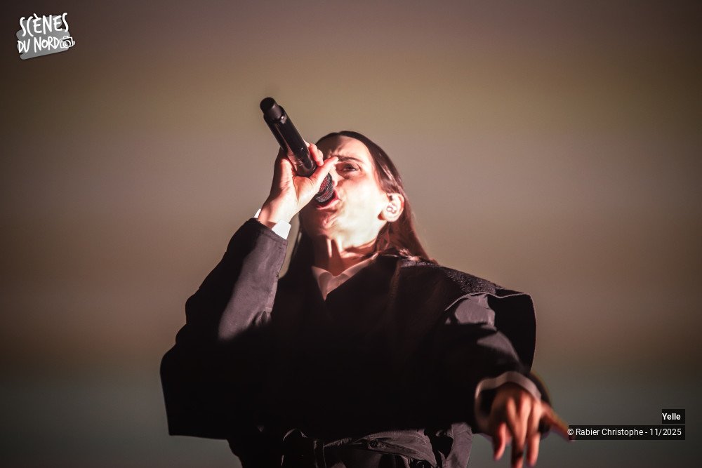 11/20 photos du spectacle Yelle