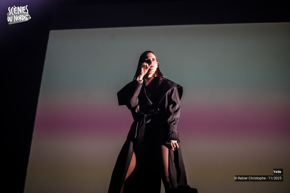 12/20 photos du spectacle Yelle