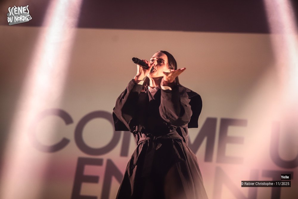 13/20 photos du spectacle Yelle