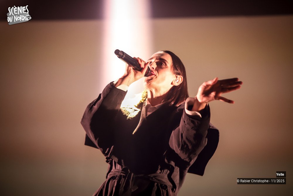 14/20 photos du spectacle Yelle