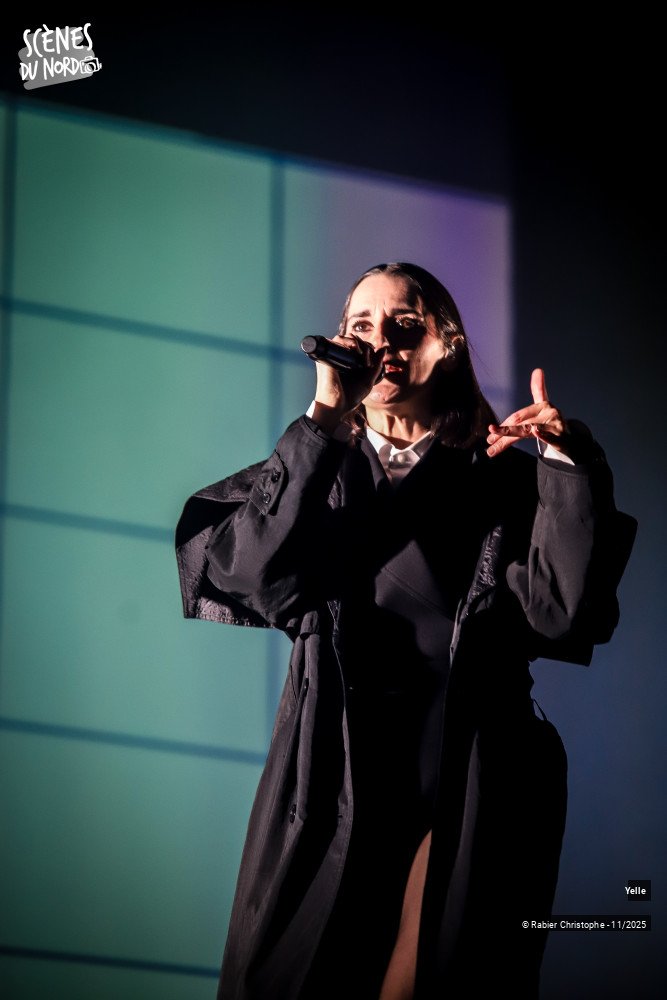 15/20 photos du spectacle Yelle