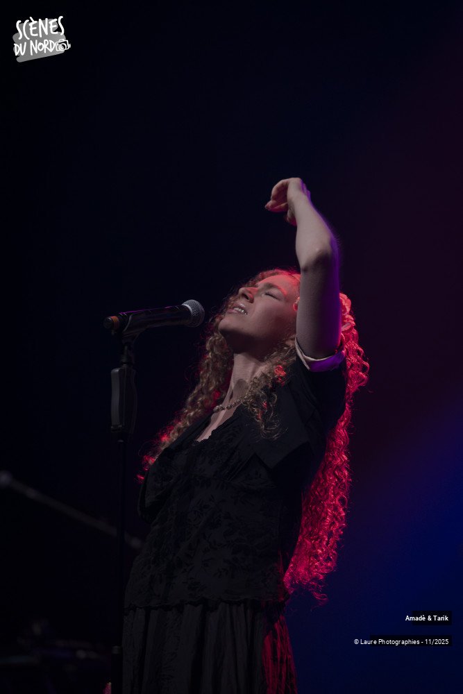 1/18 photos du spectacle Amadè & Tarik