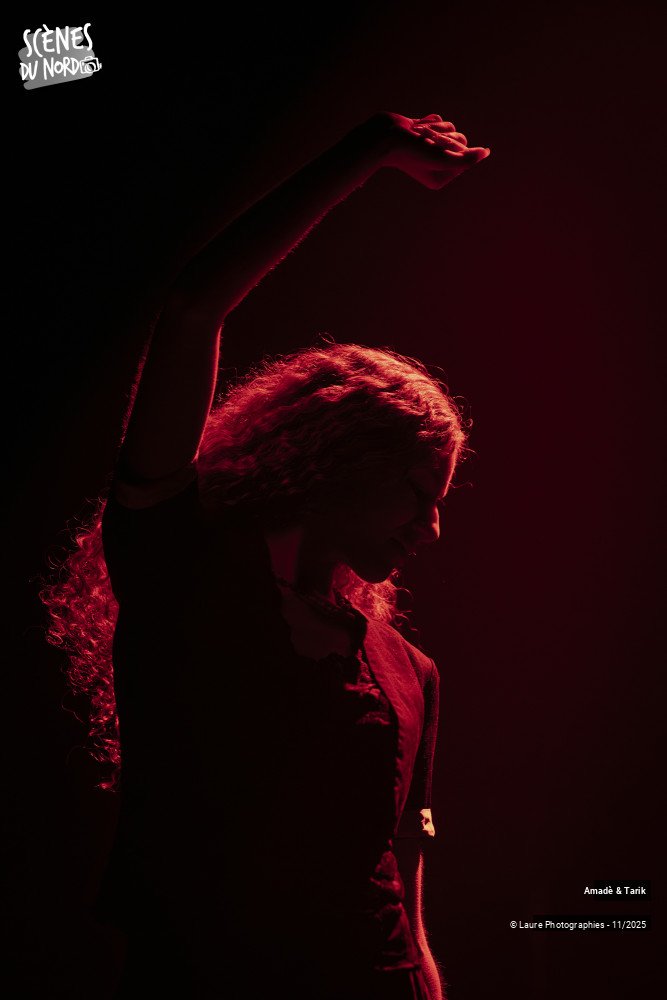 11/18 photos du spectacle Amadè & Tarik