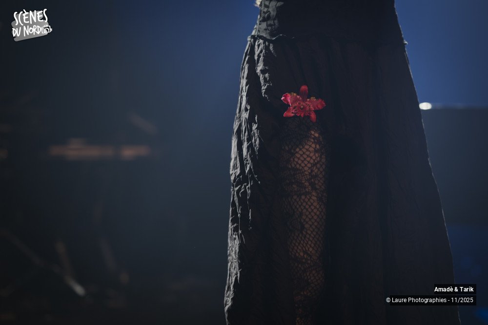 13/18 photos du spectacle Amadè & Tarik