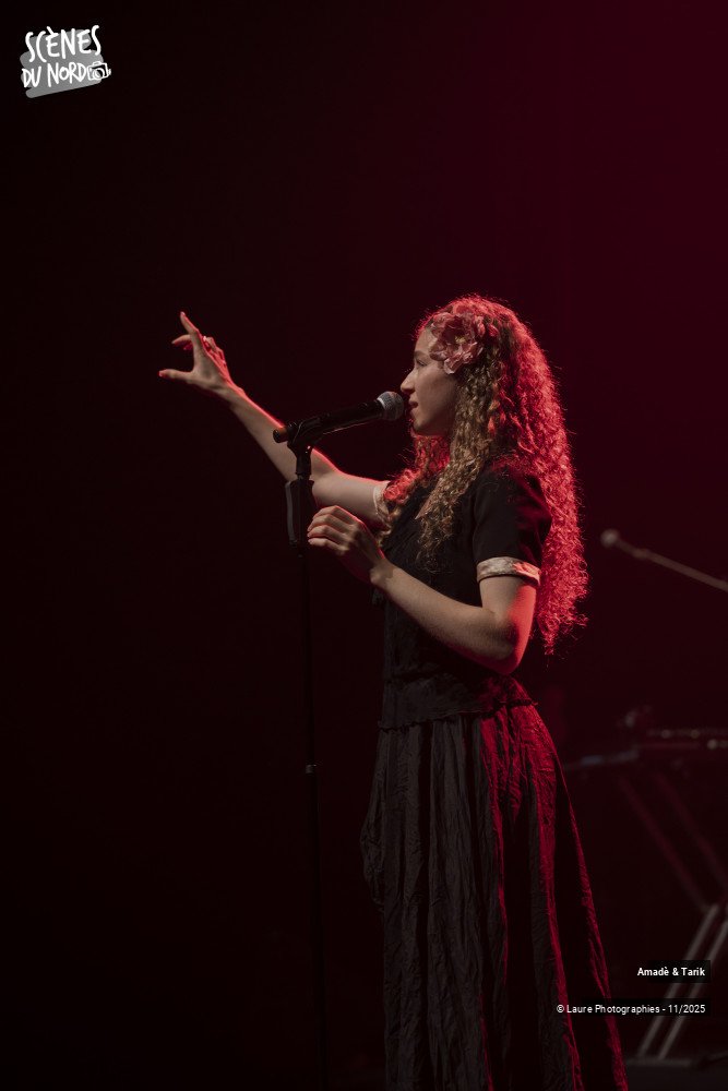 14/18 photos du spectacle Amadè & Tarik