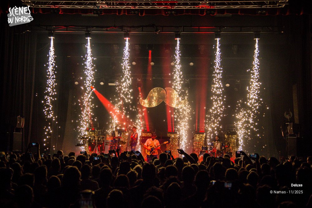 16/20 photos du spectacle Deluxe