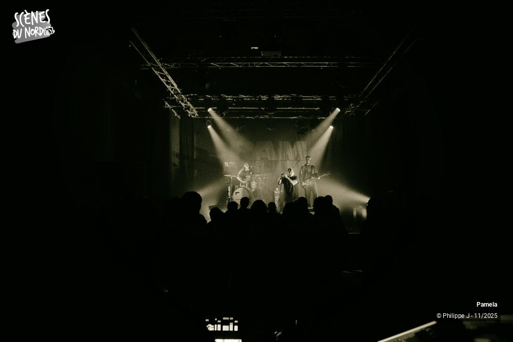 5/16 photos du spectacle Pamela