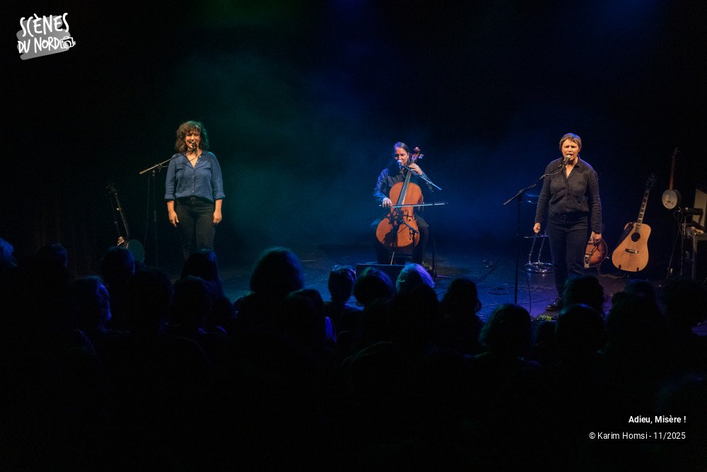 16/20 photos du spectacle Adieu, Misère !