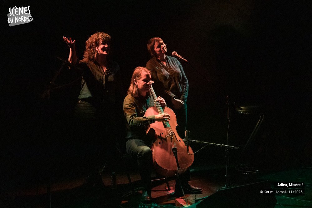 18/20 photos du spectacle Adieu, Misère !