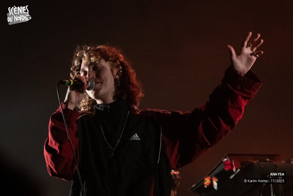 16/20 photos du spectacle Anaysa