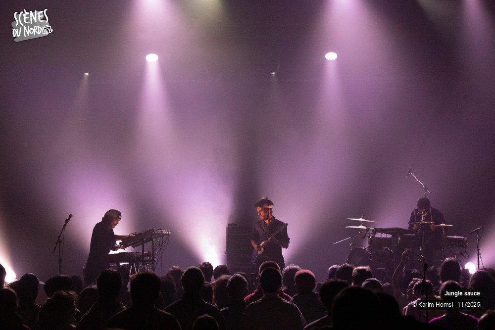 2/18 photos du spectacle Jungle Sauce