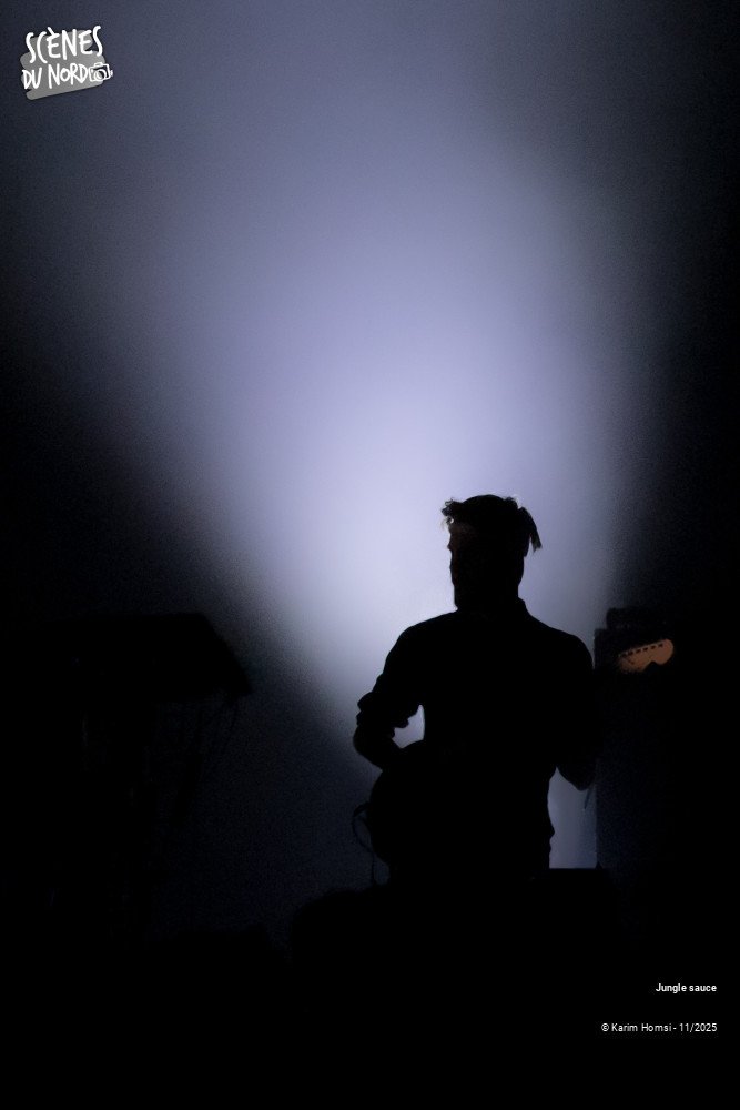 3/18 photos du spectacle Jungle Sauce