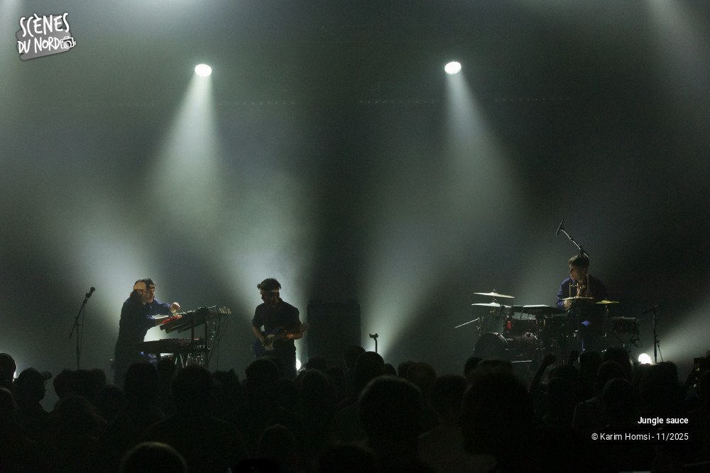 5/18 photos du spectacle Jungle Sauce