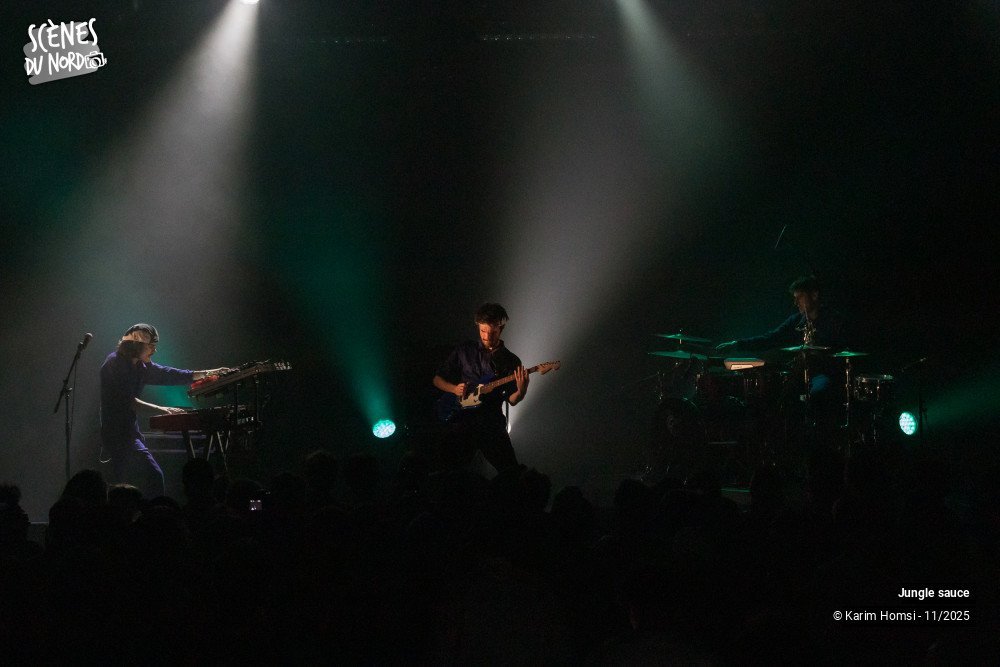 7/18 photos du spectacle Jungle Sauce