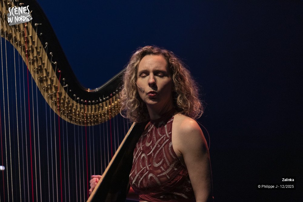 5/20 photos du spectacle Zalinka