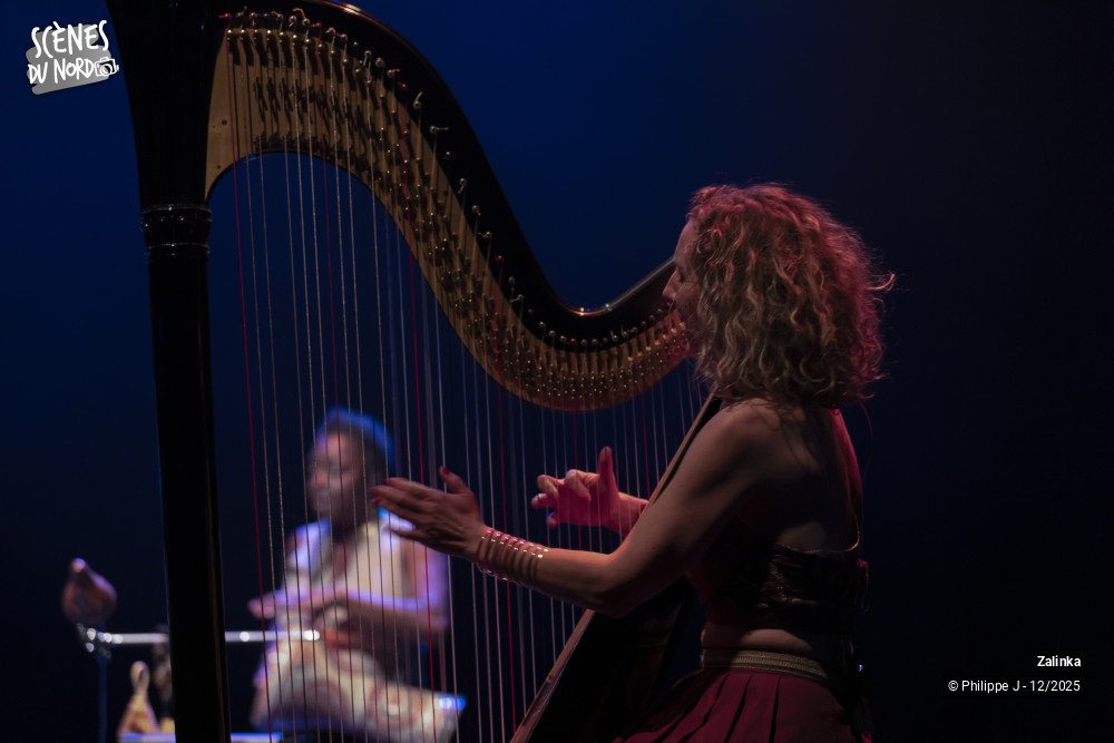 7/20 photos du spectacle Zalinka