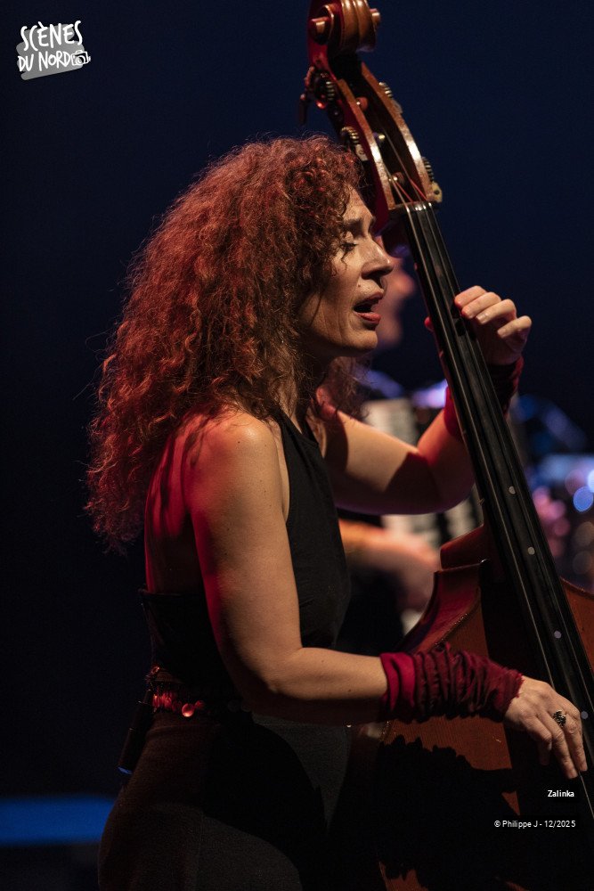 11/20 photos du spectacle Zalinka