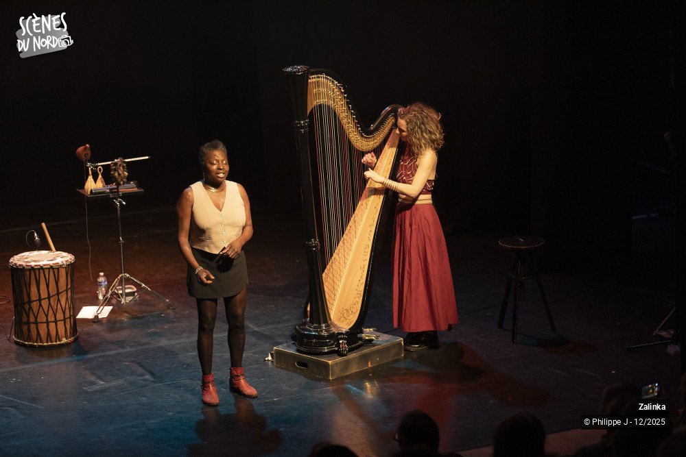 13/20 photos du spectacle Zalinka