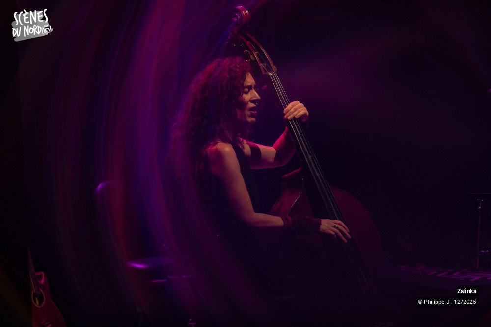 14/20 photos du spectacle Zalinka