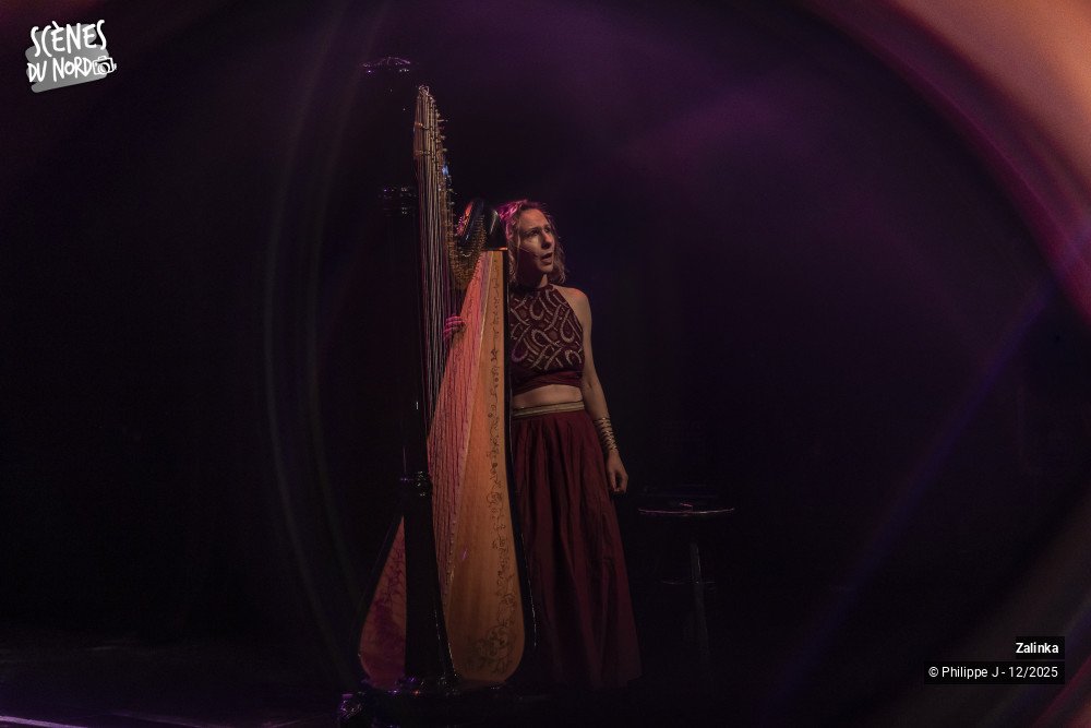 15/20 photos du spectacle Zalinka