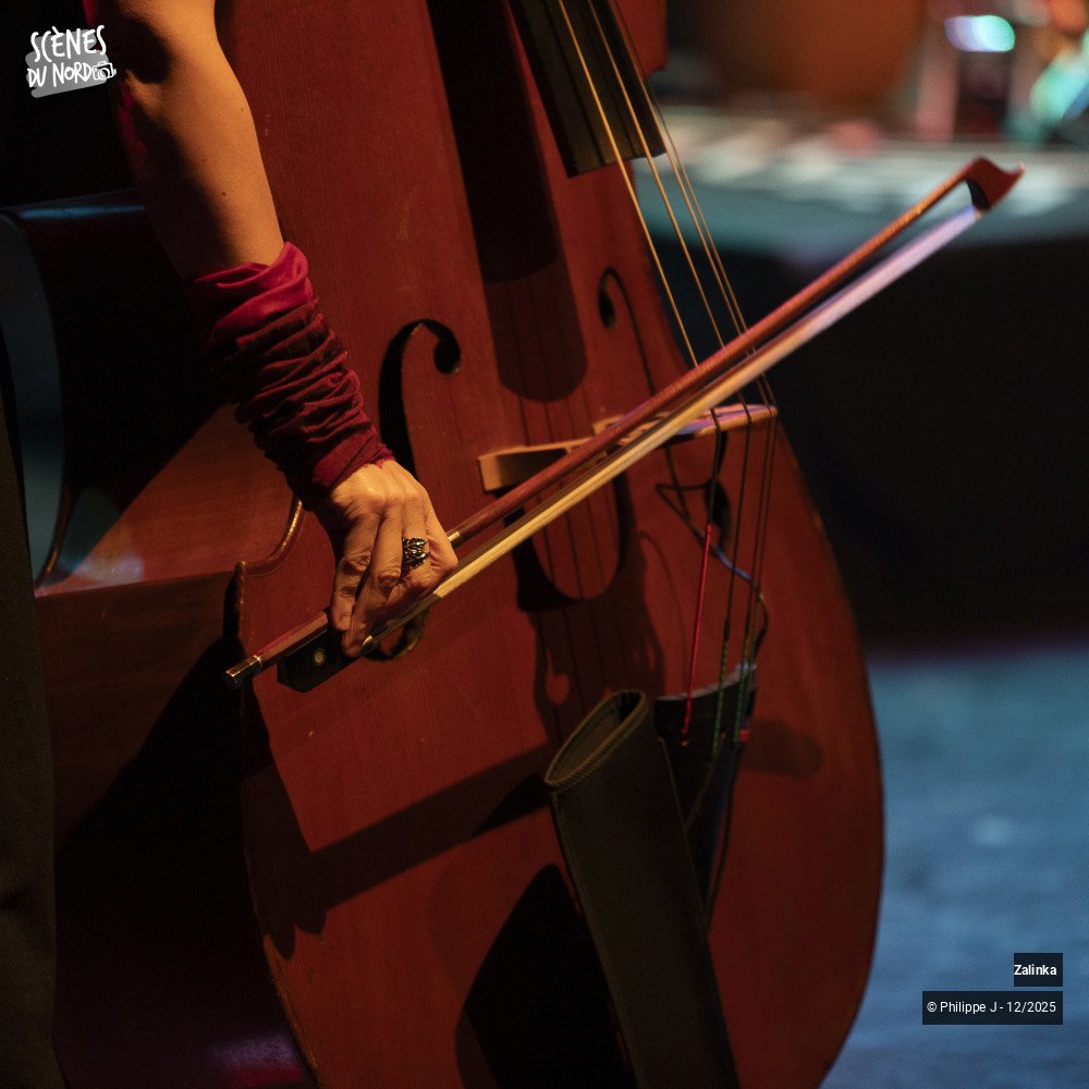 17/20 photos du spectacle Zalinka